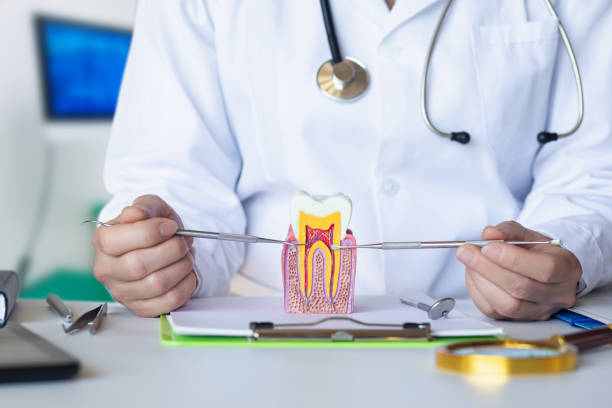 Best After-Hours Emergency Dentist in Appomattox, VA